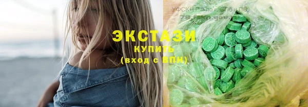 индика Бородино