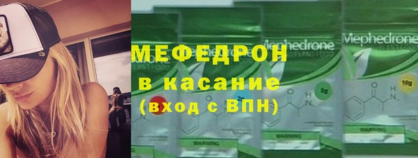 индика Бородино