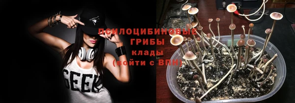 индика Бородино