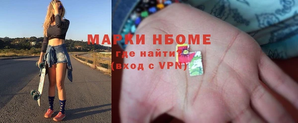 индика Бородино