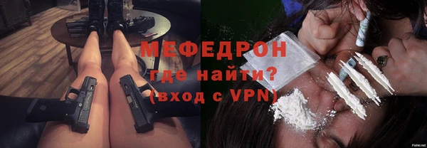 индика Бородино
