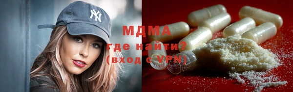 индика Бородино