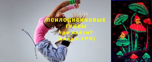 стаф Бронницы