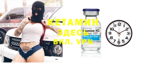 индика Бородино