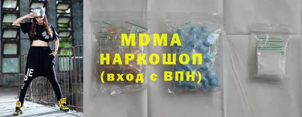 индика Бородино