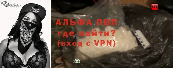 индика Бородино