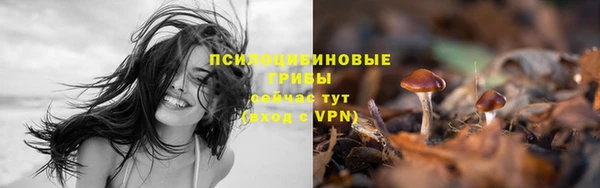 стаф Бронницы