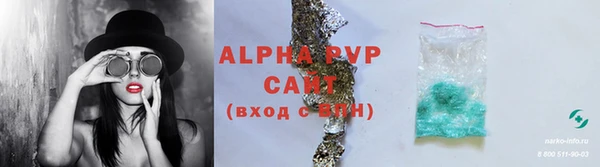 индика Бородино