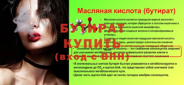 индика Бородино