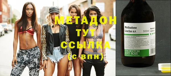 индика Бородино