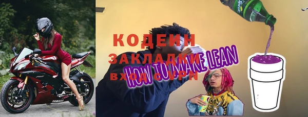 индика Бородино