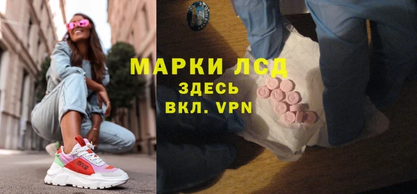 индика Бородино